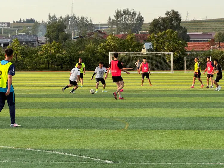 在两江镇党 在两江镇党